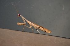 29th Sept 2013_2 070.jpg