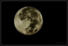 Day292MoonMorning.jpg