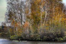 Fall kayak.jpg