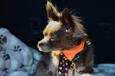 DSC_9145.jpg