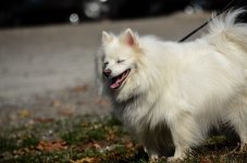 DSC_9219.jpg