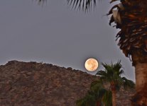 moon1.jpg