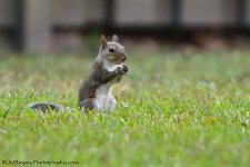 DSC_7854.jpg