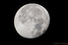 DSC_4838.jpg