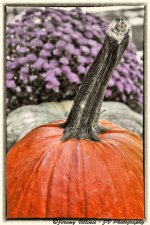 Halloween Pumpkin Entry.jpg
