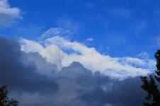 CSC_3040.jpg