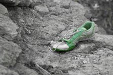 Shoe1.jpg