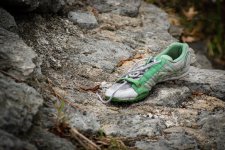 Shoe2.jpg