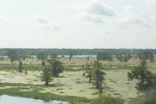 DSC_1060.JPG