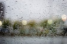 Rainy1.jpg