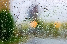 Rainy2.jpg