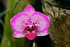DSC_3283.jpg