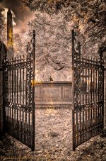 IR0_9854-Edit-B&W.jpg