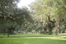DSC_1295.JPG