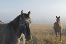 NIK_7900.jpg