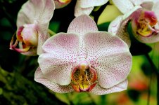 DSC_3284.jpg