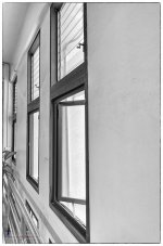 museumwindow-1.jpg