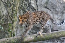 DSC_1364.JPG