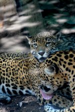 DSC_1573.JPG