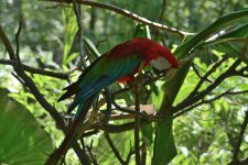 DSC_1547.JPG