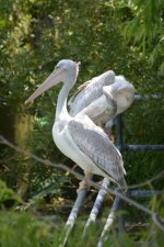 DSC_1494.JPG