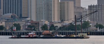 DSC_1666.JPG