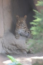 DSC_1324.JPG