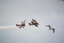 _DSC3533.jpg