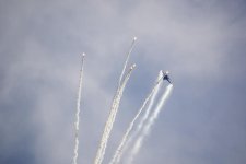 _DSC4566.jpg