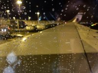 Fly-01.jpg