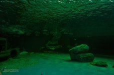 stingray-1.jpg