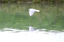 _DSC7123.jpg