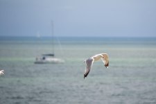 _DSC3862.jpg