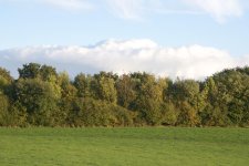 _DSC8238.jpg