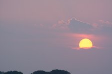 DSC_1053.JPG