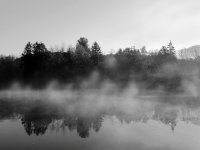 DSCN9186a.jpg