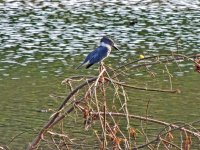 DSCN9213.jpg