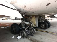 United tyres-4.jpg