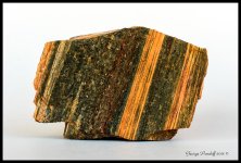 Day301PetrifiedWood.jpg