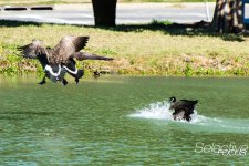 Landing1.jpg