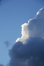 _DSC6745.jpg