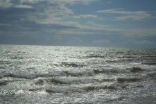 DSC_0177_030.jpg