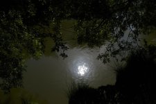 DSC_7447.jpg