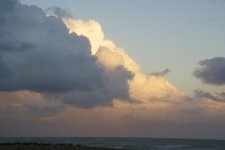 _DSC8369.jpg