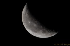 DSC_4947.jpg