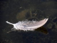 DSCN9628.jpg
