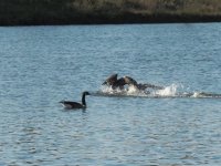 DSCN9757.jpg