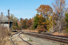 DSC_4982.jpg