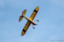 DSC_5023.jpg