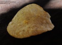 302 Potato Chip-131030_01.jpg